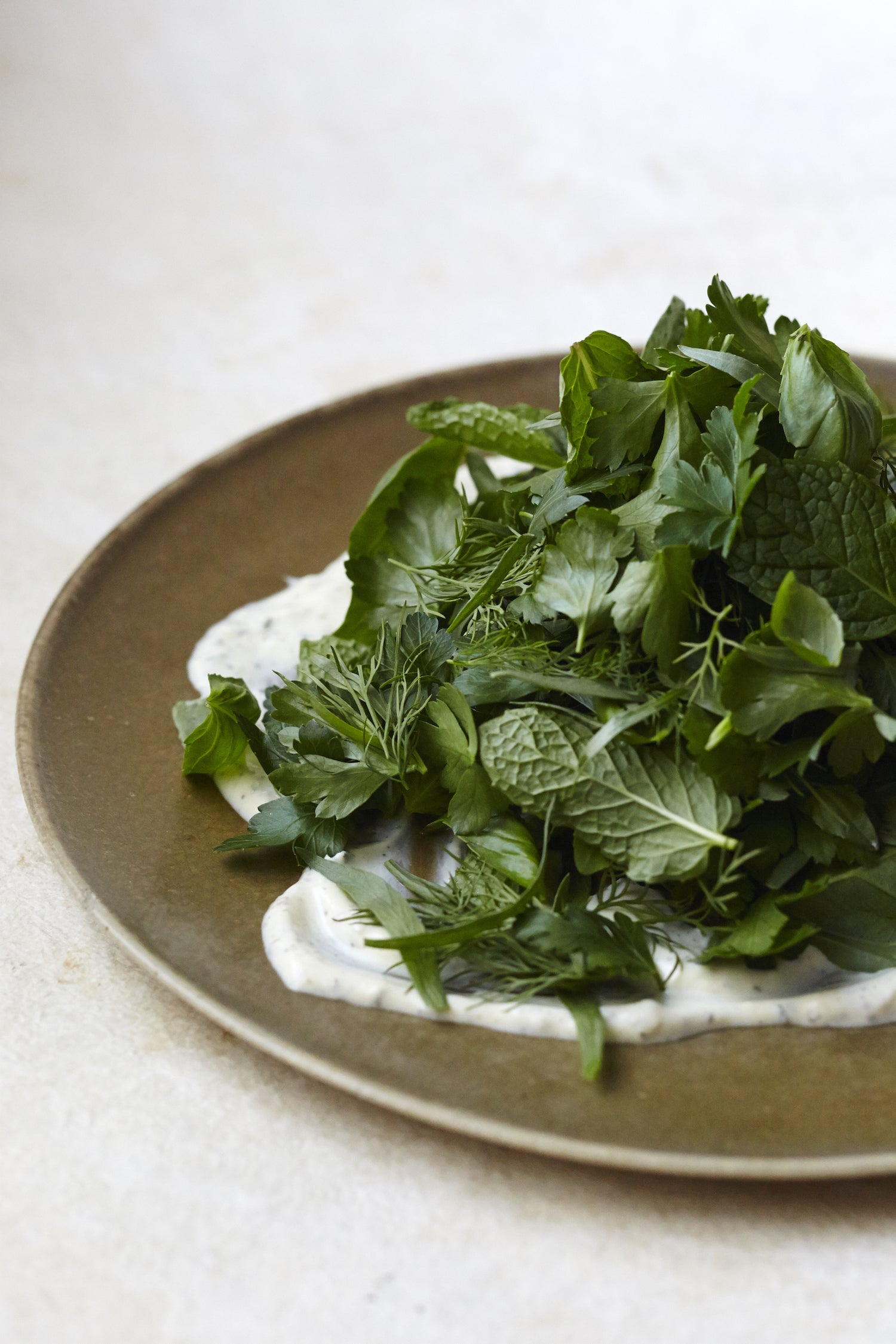 Introducing The Herb Salad