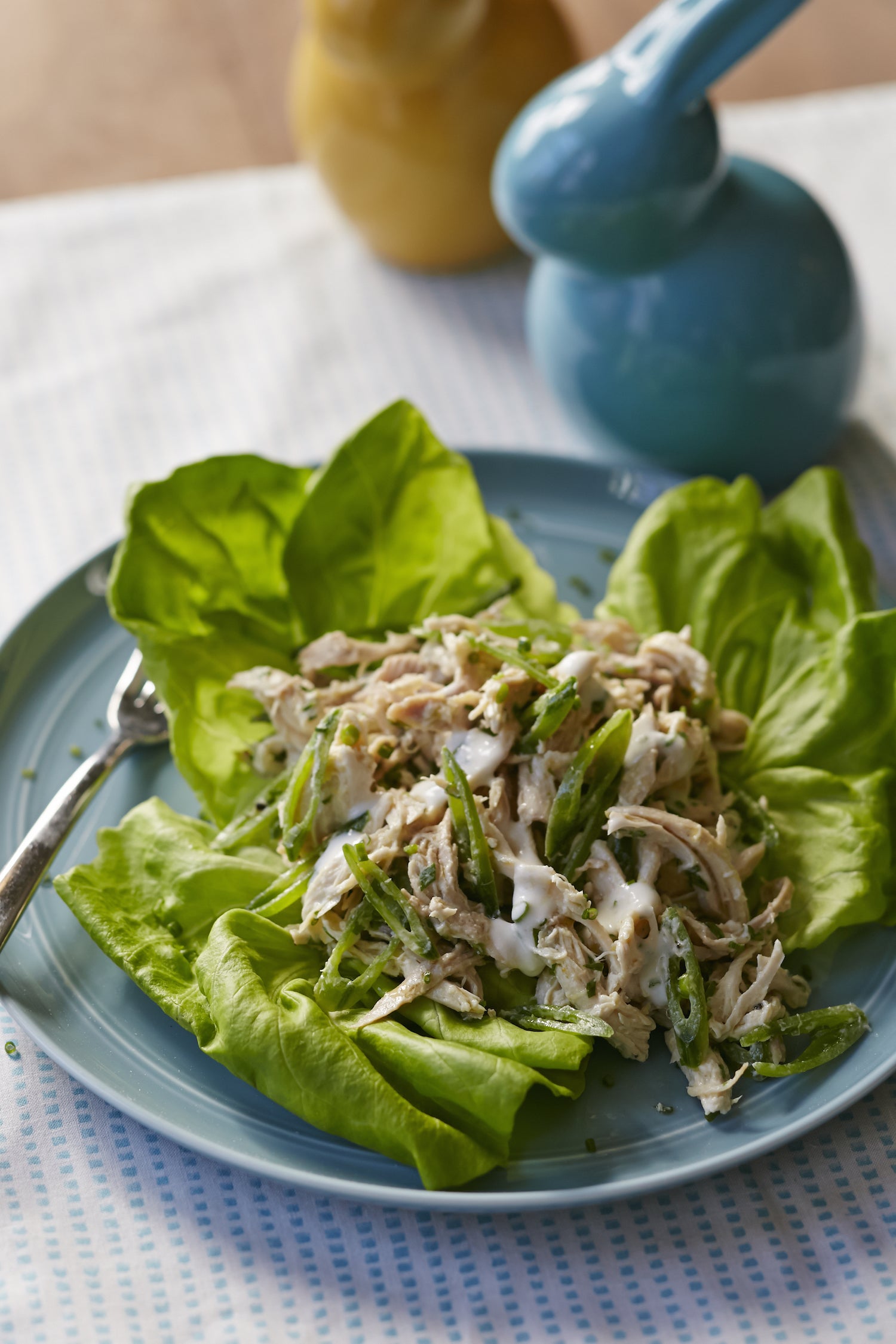 Spring Chicken Salad, Credit: Lauren Volo