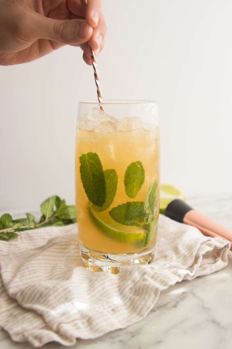 Ginger Kombucha & Gin Refresher, Credit: Elizabeth Newman