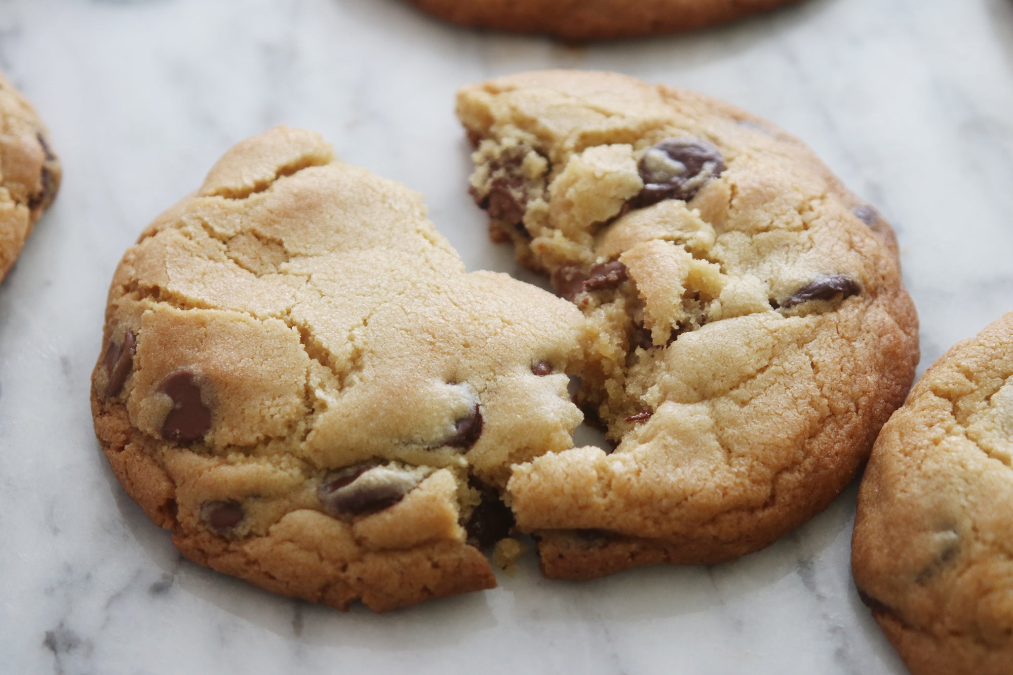 Vegas Chocolate Chip Cookies, Credit: Elizabeth Newman