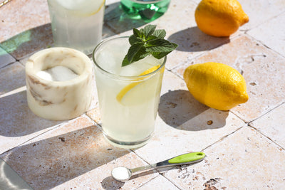 Seltz Al Limone (Salted Lemon Seltzer)