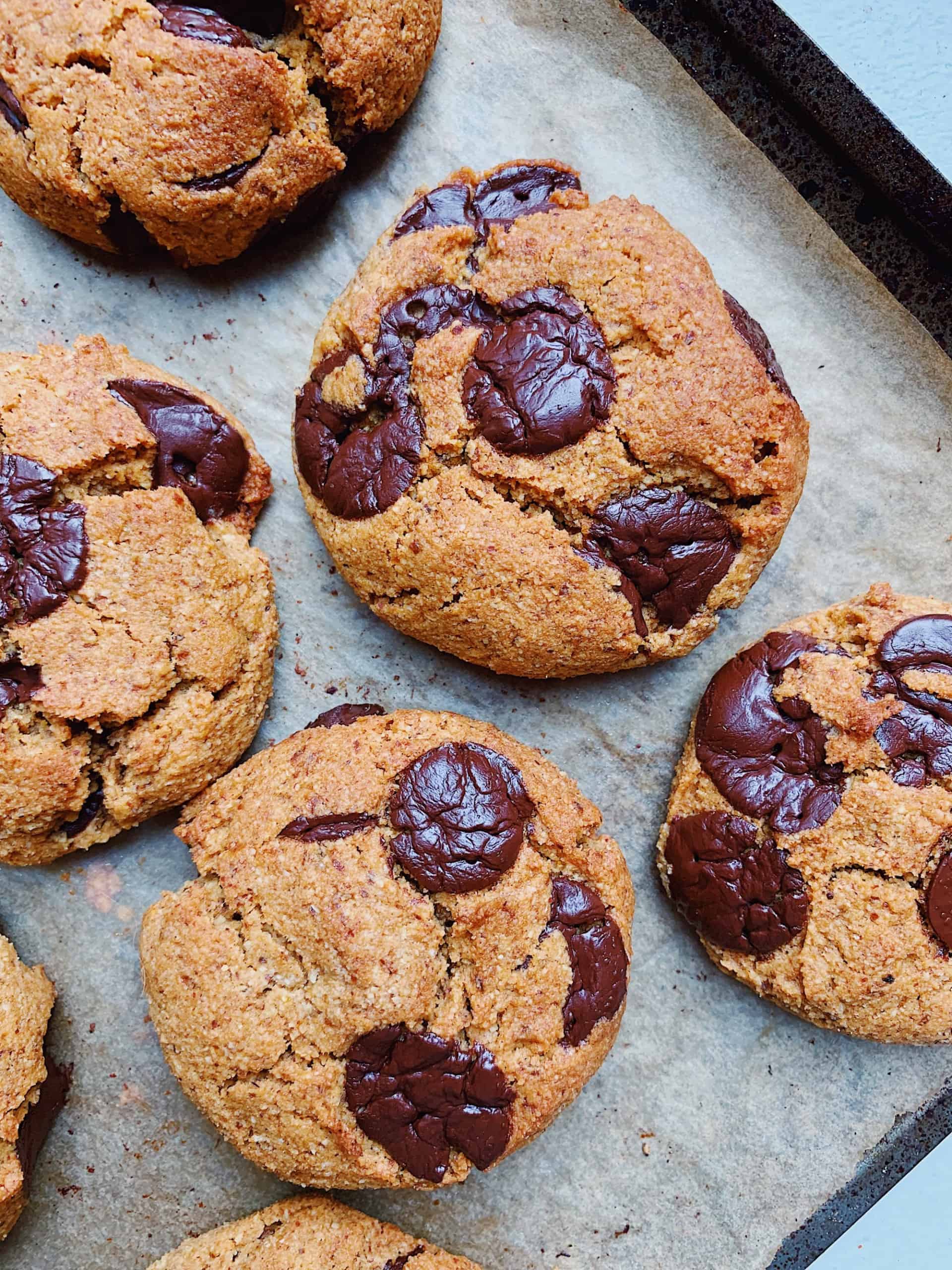 One-Bowl Chocolate Chip Pumpkin Cookies, Credit: Samah Dada