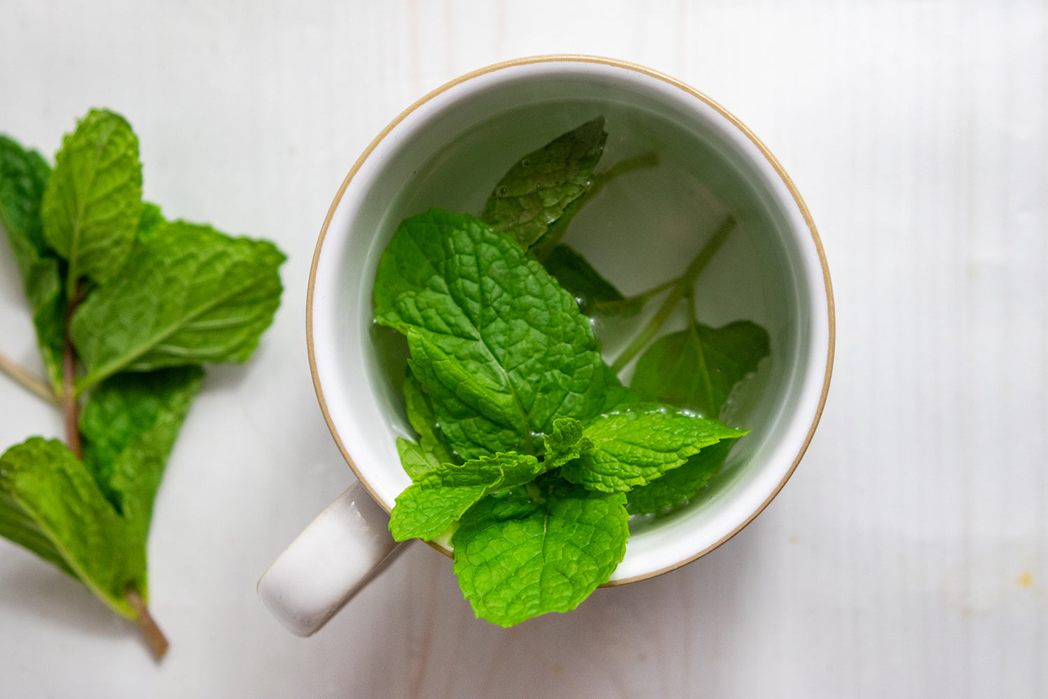 Simple Mint Tea, Credit: Elizabeth Newman