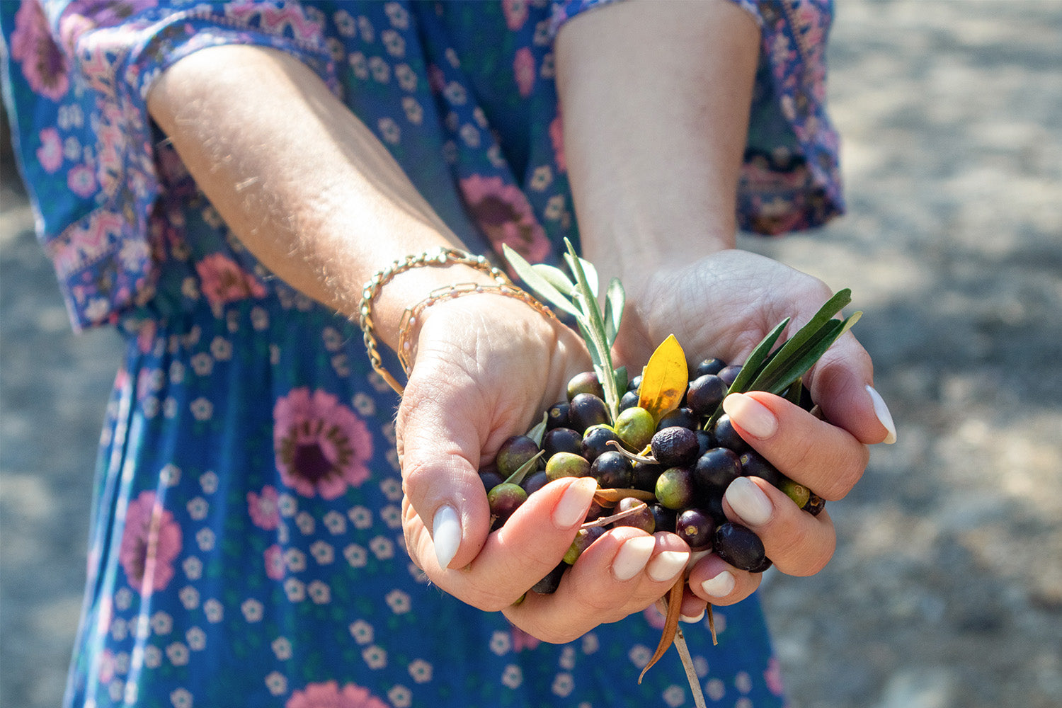 What Does Extra Virgin Olive Oil Mean, Anyway?