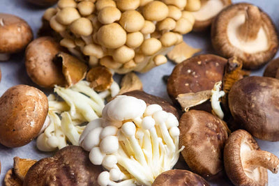 Know Your Fungi: Our Culinary Mushroom Guide