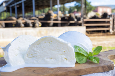 Everything You Ever Wanted to Know About Buffalo Mozzarella