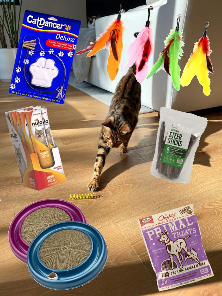 The Best Cat Toys And Treats, According To Giada