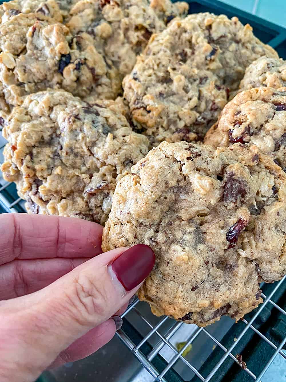 Chocolate Chunk Oatmeal Cookies With Cranberries