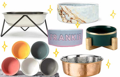 Trending: Dog Bowls To Match Your Kitchen