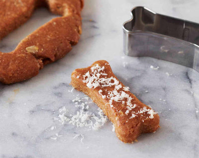 Spoil Your Dog With These Homemade Dog Treats!