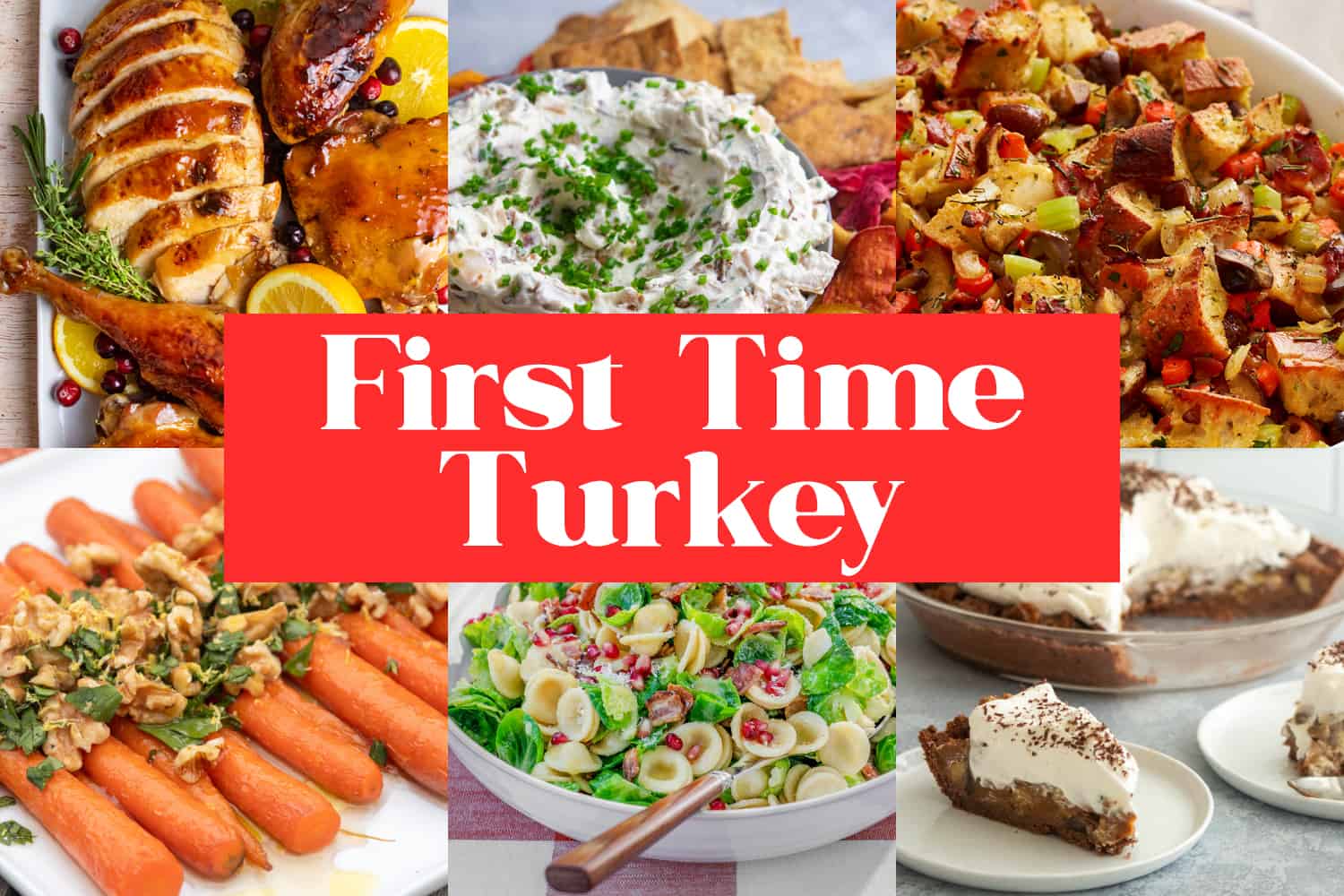 Thanksgiving Menu: First Time Turkey