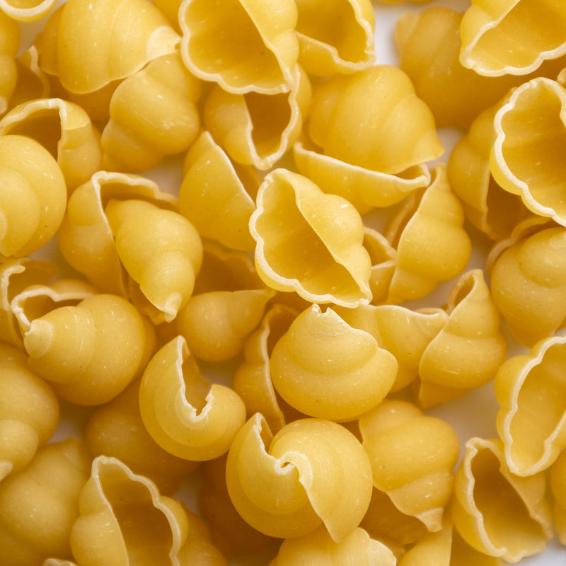 Giadzy Organic Gnocchetti Napoletani Pasta