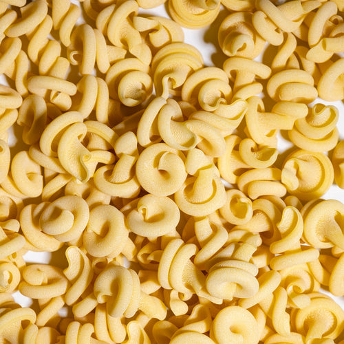 Giadzy Nodi Marini Pasta