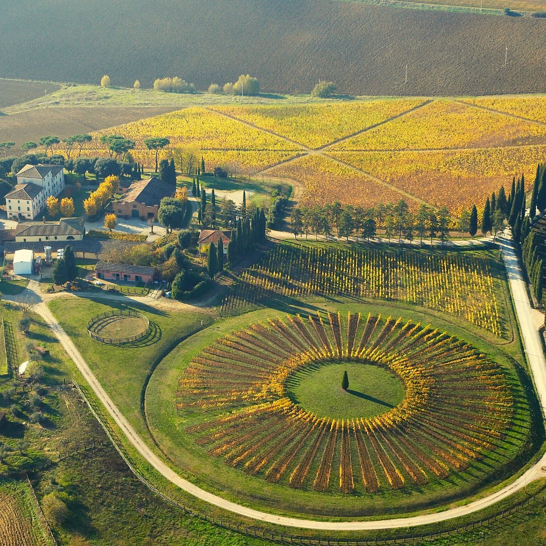 Avignonesi Winery